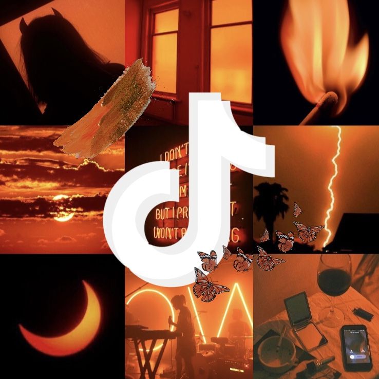 1000 followers-International