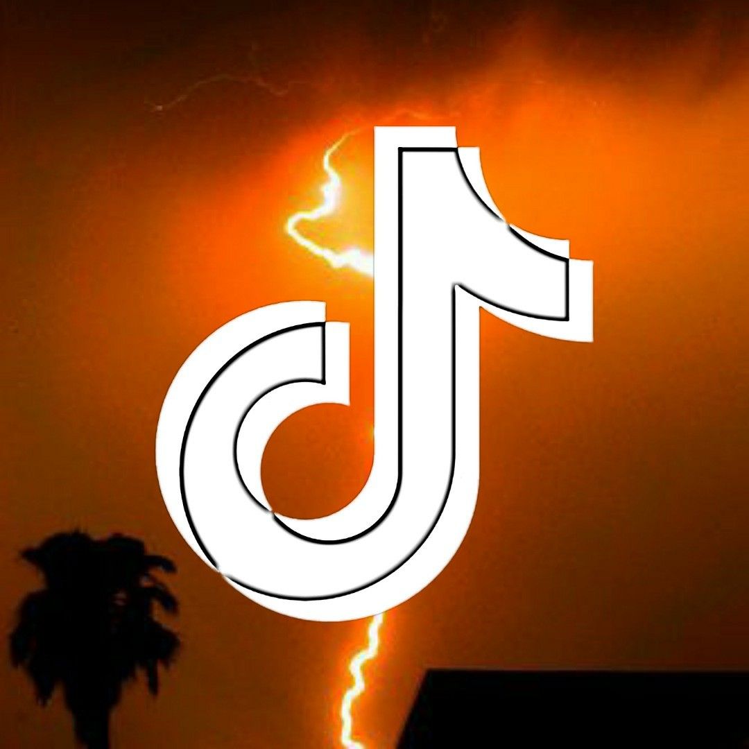 3000 followers International